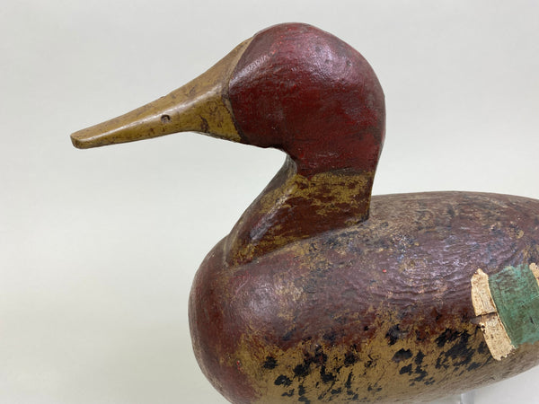 Folky Wisconsin Mallard Hen, Circa 1910's (#8134)
