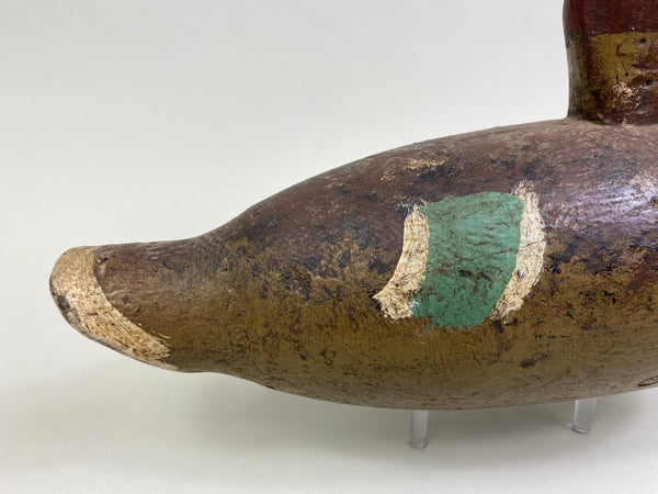 Folky Wisconsin Mallard Hen, Circa 1910's (#8134)