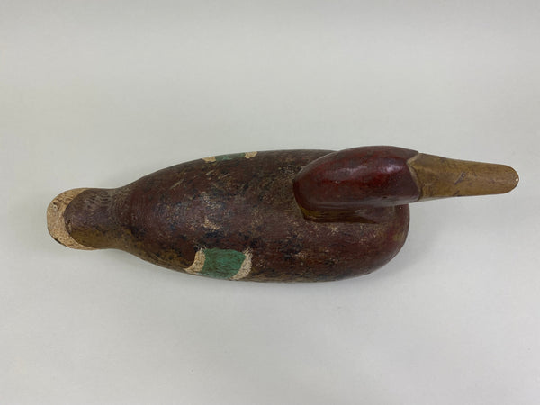 Folky Wisconsin Mallard Hen, Circa 1910's (#8134)