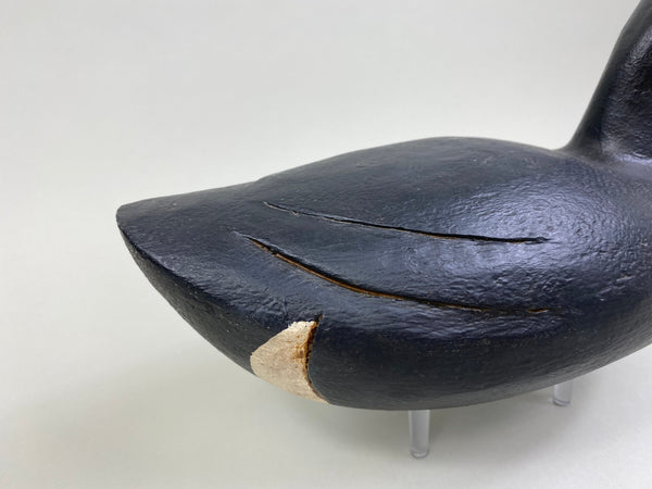 Dennis Edwards Coot / Mud Hen (#8138)