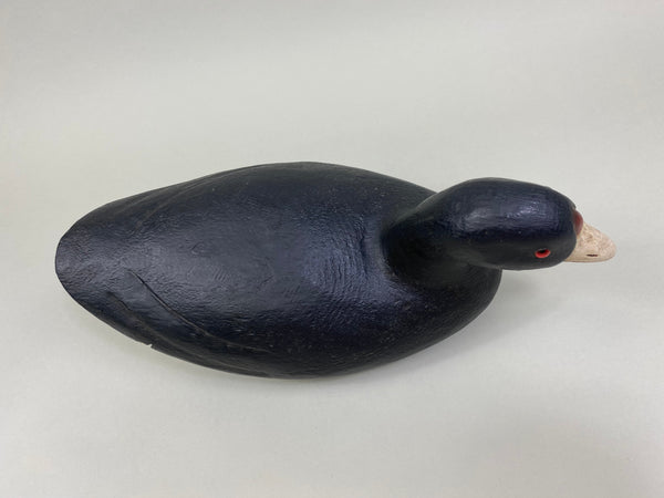 Dennis Edwards Coot / Mud Hen (#8138)