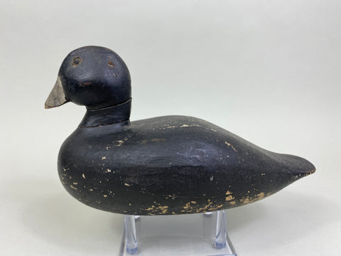 Lake Puckaway Coot - Mudhen, Circa 1930's (#8140)