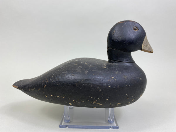 Lake Puckaway Coot - Mudhen, Circa 1930's (#8140)