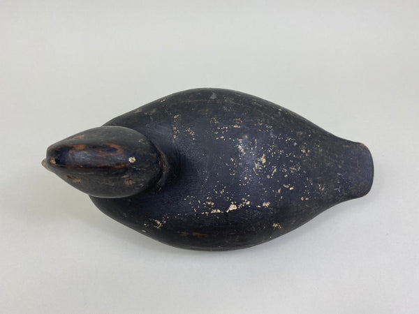 Lake Puckaway Coot - Mudhen, Circa 1930's (#8140)