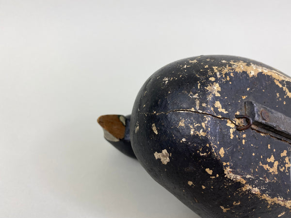 Lake Puckaway Coot - Mudhen, Circa 1930's (#8140)