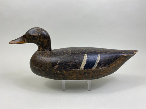 Ray Davis Mallard Hen, Circa 1937 (#8142)