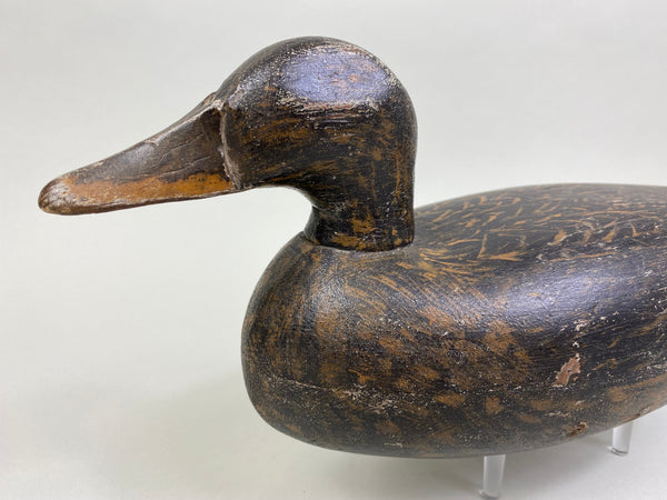 Ray Davis Mallard Hen, Circa 1937 (#8142)