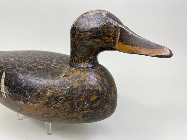 Ray Davis Mallard Hen, Circa 1937 (#8142)