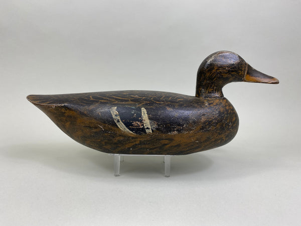 Ray Davis Mallard Hen, Circa 1937 (#8142)