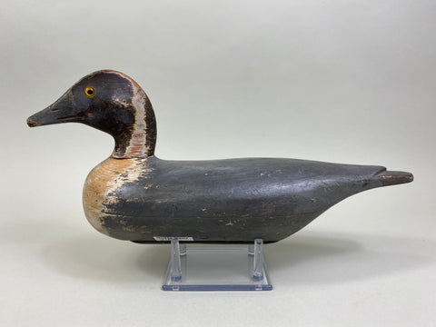 Unknown Illinois River Pintail Drake (#8160)