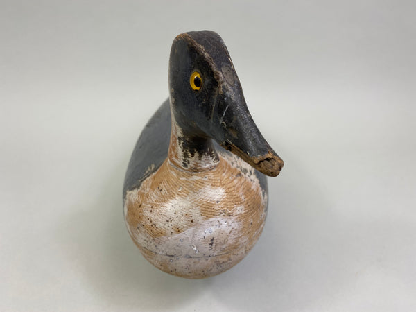 Unknown Illinois River Pintail Drake (#8160)