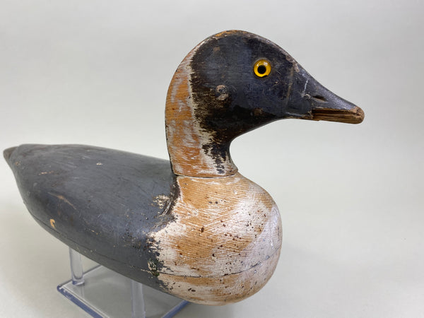 Unknown Illinois River Pintail Drake (#8160)