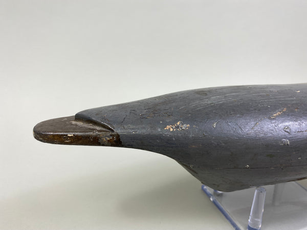 Unknown Illinois River Pintail Drake (#8160)