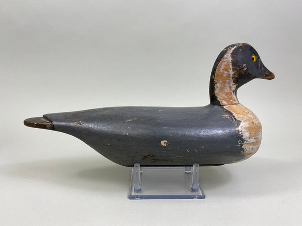 Unknown Illinois River Pintail Drake (#8160)