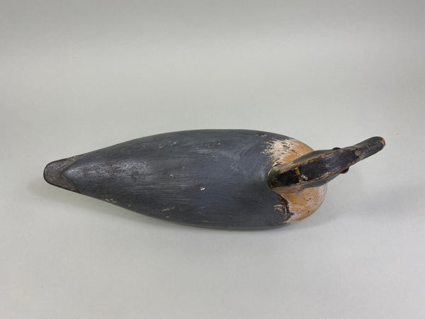 Unknown Illinois River Pintail Drake (#8160)