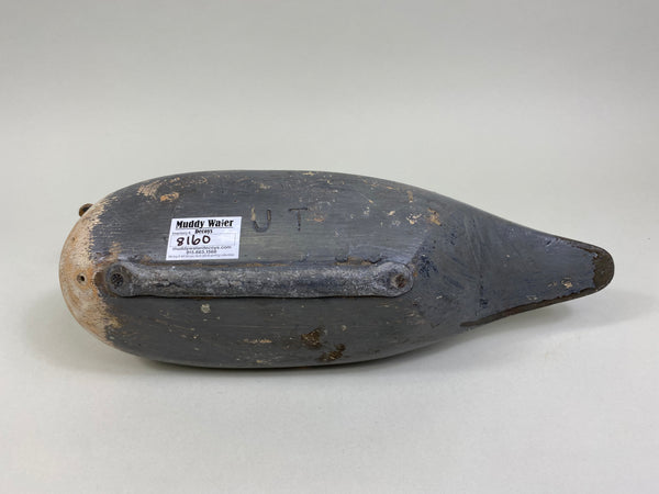 Unknown Illinois River Pintail Drake (#8160)