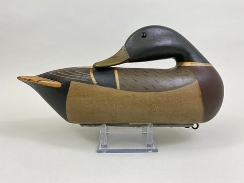 Perdew Style Preening Mallard Drake (#8165)