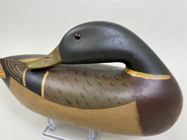 Perdew Style Preening Mallard Drake (#8165)