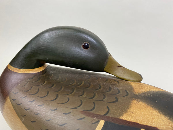 Perdew Style Preening Mallard Drake (#8165)