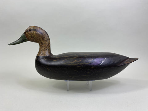 Vallero Style Black Duck by Charlie Moore (#8166)