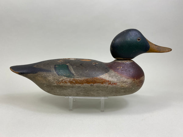 Mason Mallard Drake, Original Paint (#8167)