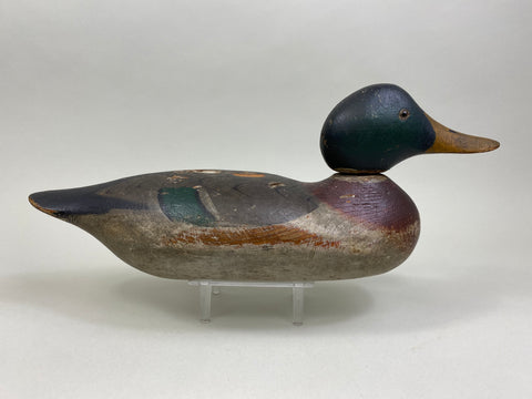 Mason Mallard Drake, Original Paint (#8167)