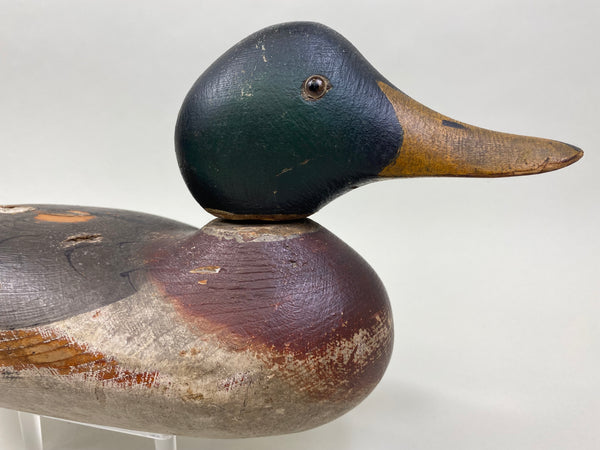 Mason Mallard Drake, Original Paint (#8167)