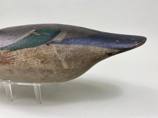 Mason Mallard Drake, Original Paint (#8167)