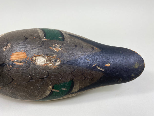 Mason Mallard Drake, Original Paint (#8167)