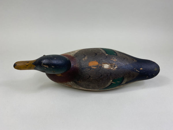 Mason Mallard Drake, Original Paint (#8167)