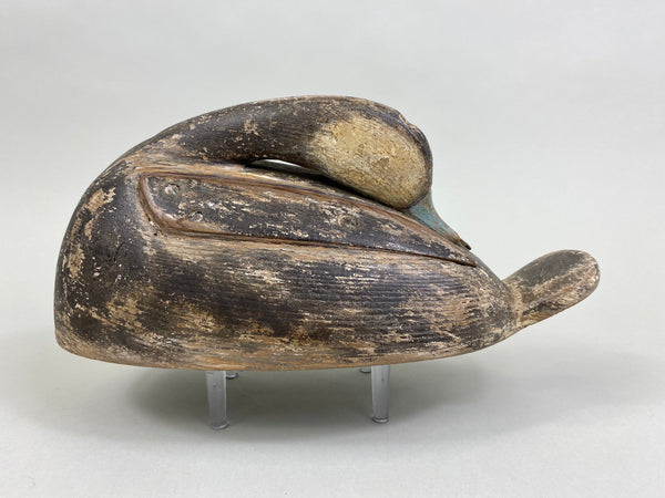 Folky Sleeper Ruddy Duck, Original Paint, Branded (#8168)