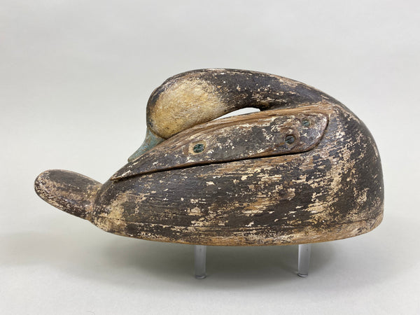 Folky Sleeper Ruddy Duck, Original Paint, Branded (#8168)