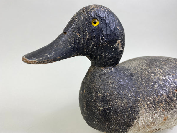 Evans Factory Bluebill, Circa 1930's, Original Paint (#8172)