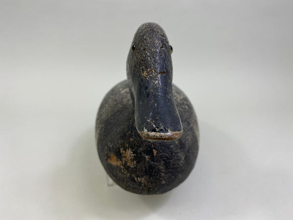 Evans Factory Bluebill, Circa 1930's, Original Paint (#8172)