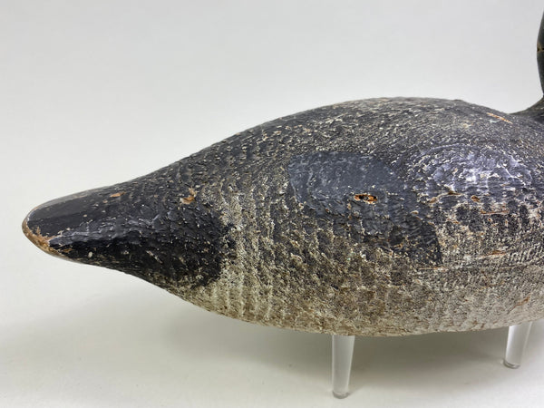 Evans Factory Bluebill, Circa 1930's, Original Paint (#8172)