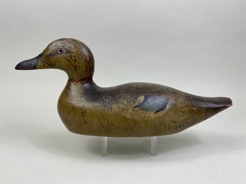 Pratt Blue-Wing Teal Hen, Circa 1930's (#8175)