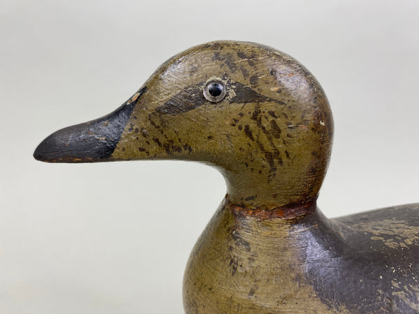 Pratt Blue-Wing Teal Hen, Circa 1930's (#8175)