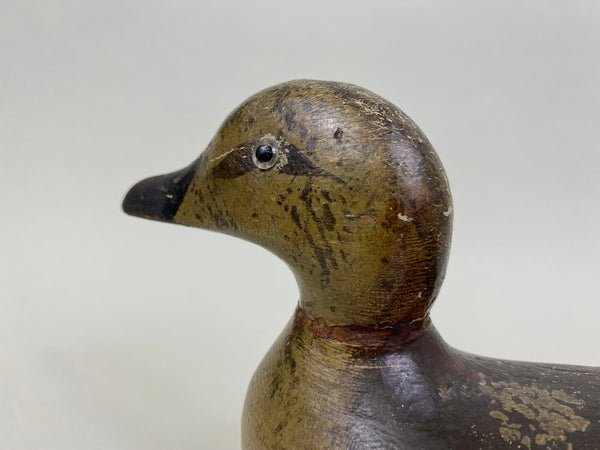 Pratt Blue-Wing Teal Hen, Circa 1930's (#8175)