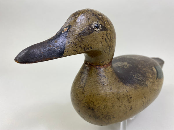 Pratt Blue-Wing Teal Hen, Circa 1930's (#8175)