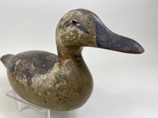 Pratt Blue-Wing Teal Hen, Circa 1930's (#8175)