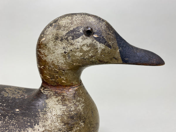 Pratt Blue-Wing Teal Hen, Circa 1930's (#8175)