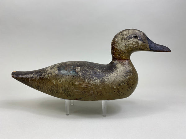 Pratt Blue-Wing Teal Hen, Circa 1930's (#8175)