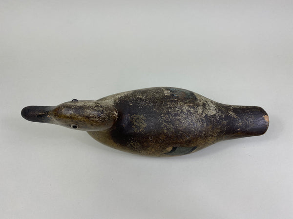 Pratt Blue-Wing Teal Hen, Circa 1930's (#8175)