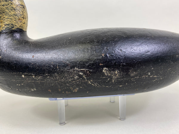 William Appleton Black Duck, Circa 1920's (#8177)