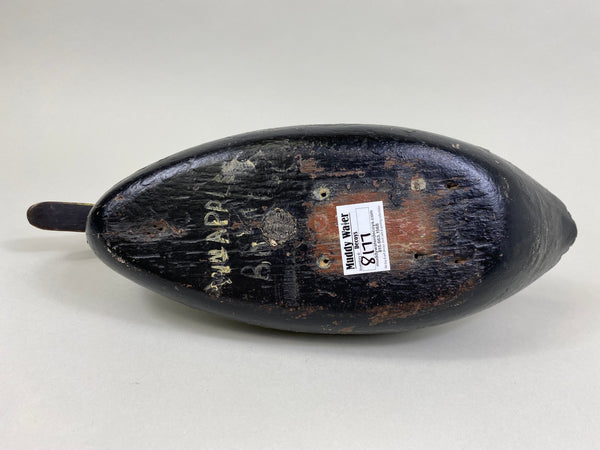 William Appleton Black Duck, Circa 1920's (#8177)