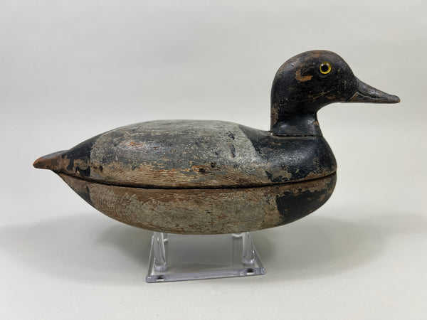 Illinois River Hollow Blue Bill, Circa 1920's (#4034)