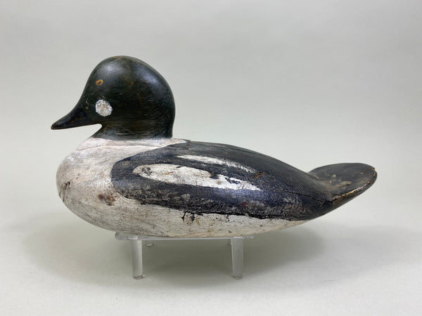 Unknown Goldeneye Drake, Circa 1930's (#8196)