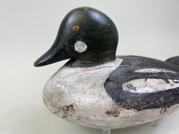 Unknown Goldeneye Drake, Circa 1930's (#8196)