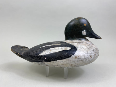Unknown Goldeneye Drake, Circa 1930's (#8196)