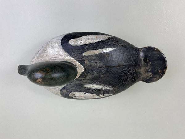 Unknown Goldeneye Drake, Circa 1930's (#8196)